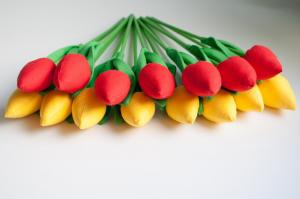 Tulipany żółte i czerwone